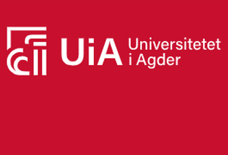 Internship UiA - Samarbeid som skaper morgensdagens kompetanse
